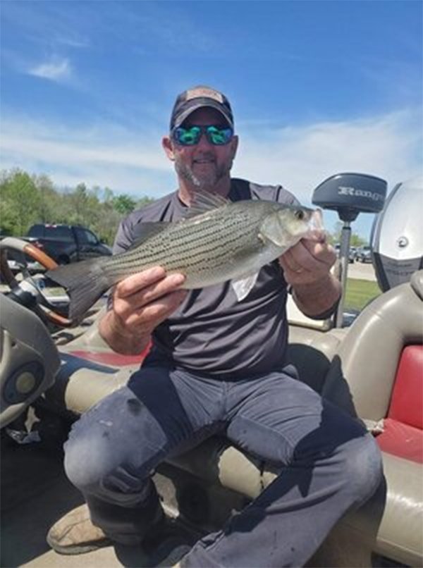 Lake Shelbyville Fishing Lodges IL Lithia Resort