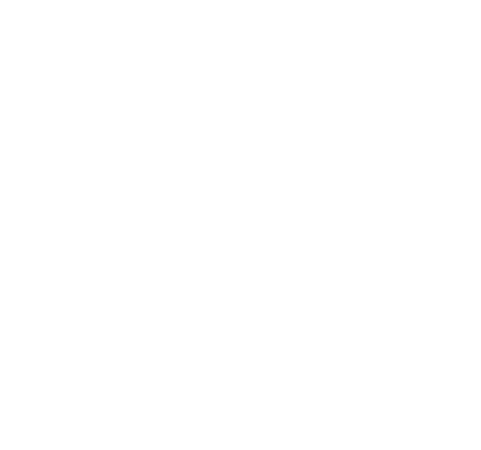 The Miami Tax Lawyer® | Financial & Tax Attorneys