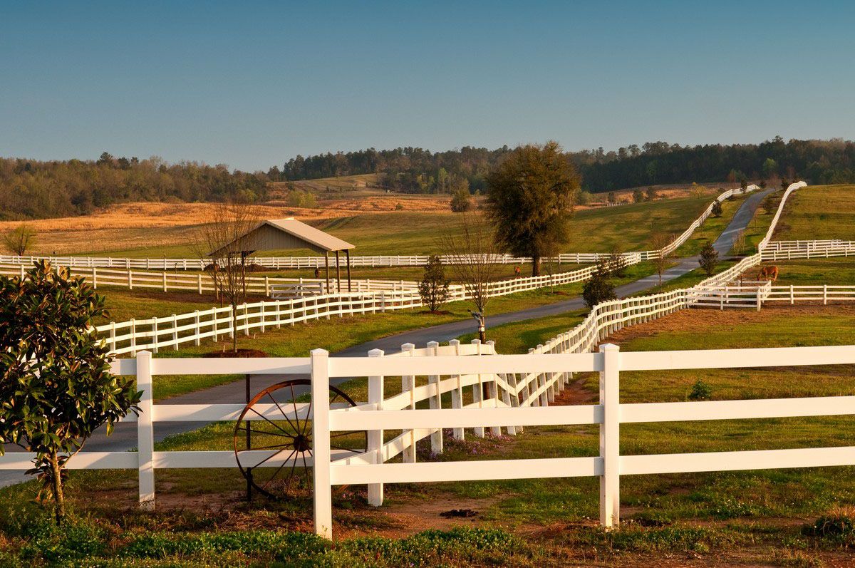 Chain Link Fence Installation | Cumming, GA