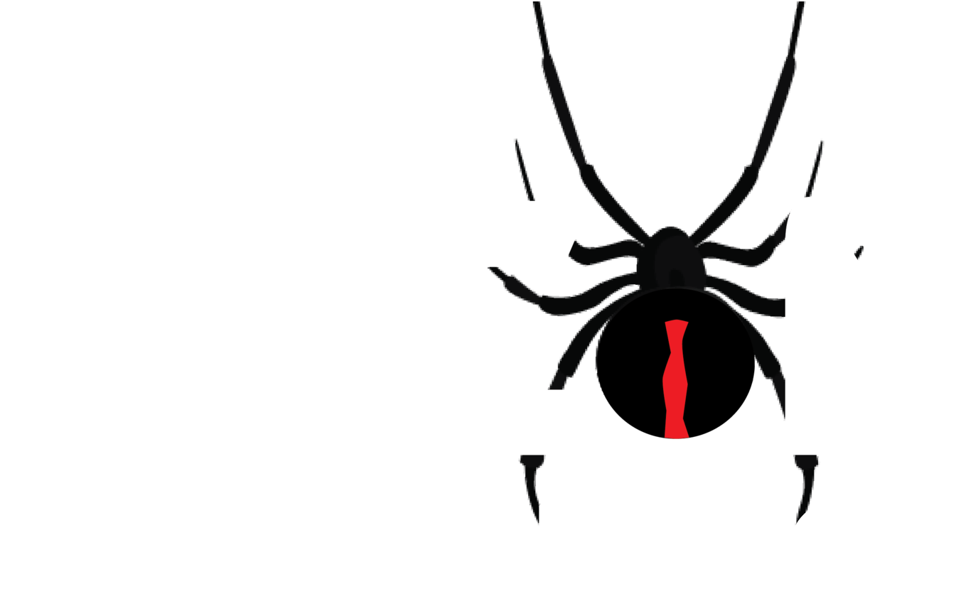 Pest Control Hendersonville, NC Recon Pest Control