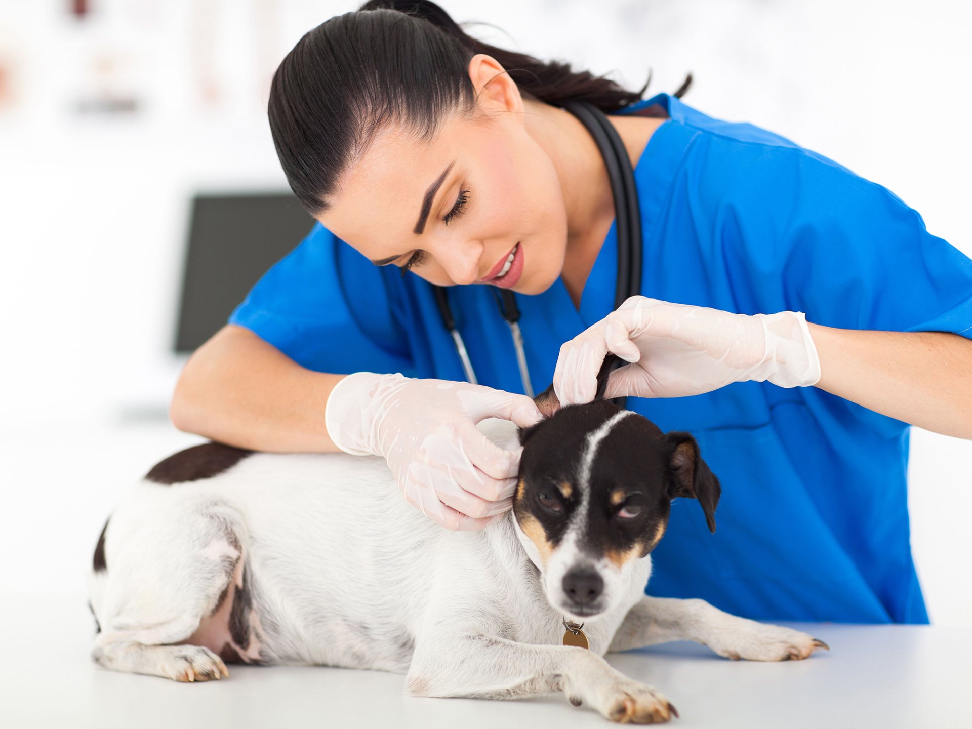 Veterinary Hospital | Squaw Valley Veterinary | Glen Rose TX