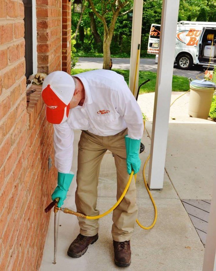 Bug Boys Pest Control Photo Gallery Northern VA, MD, DC, PA, and WV