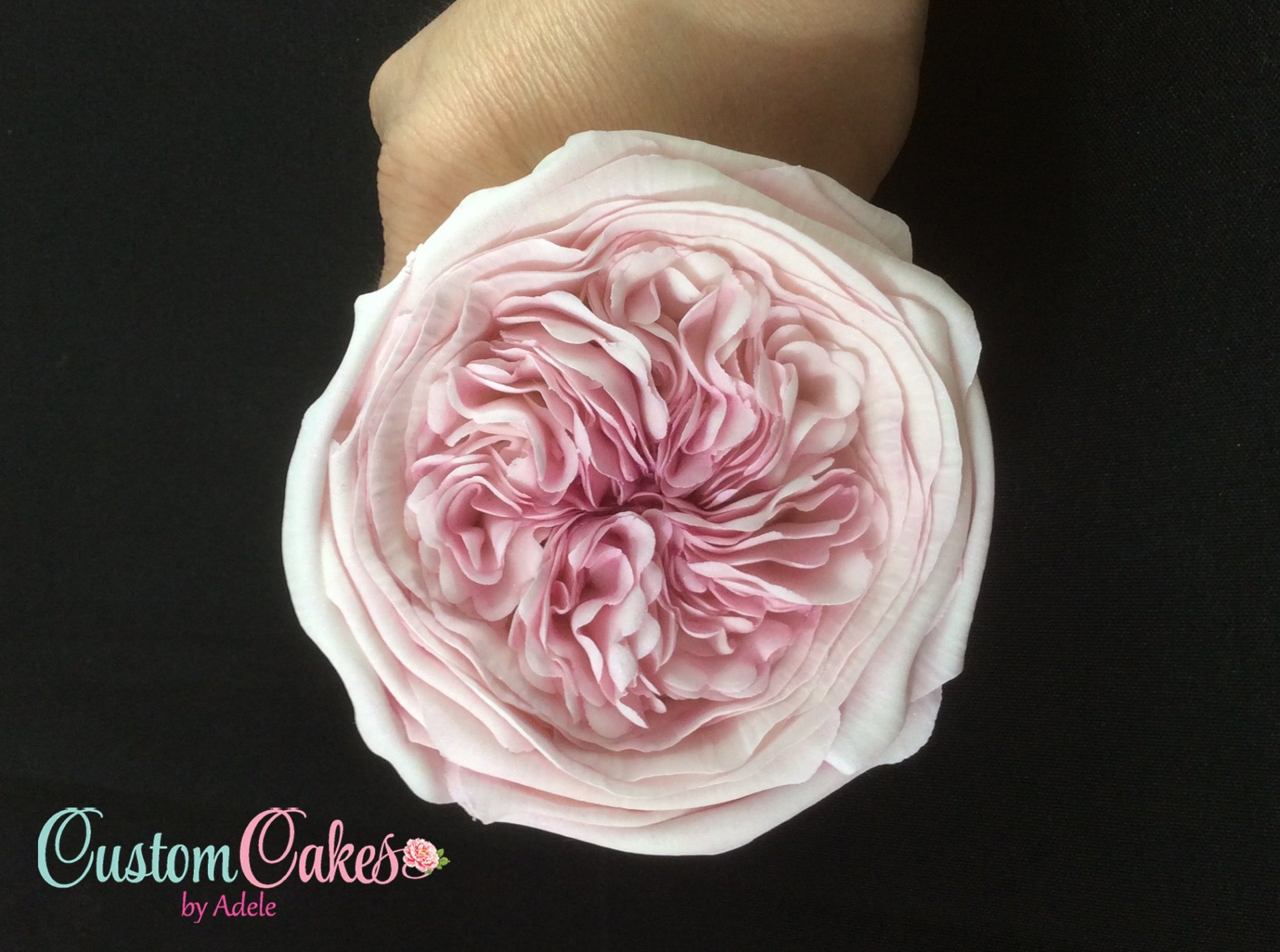 Sugar Art Decorative Sugar Flowers Whitehall, PA