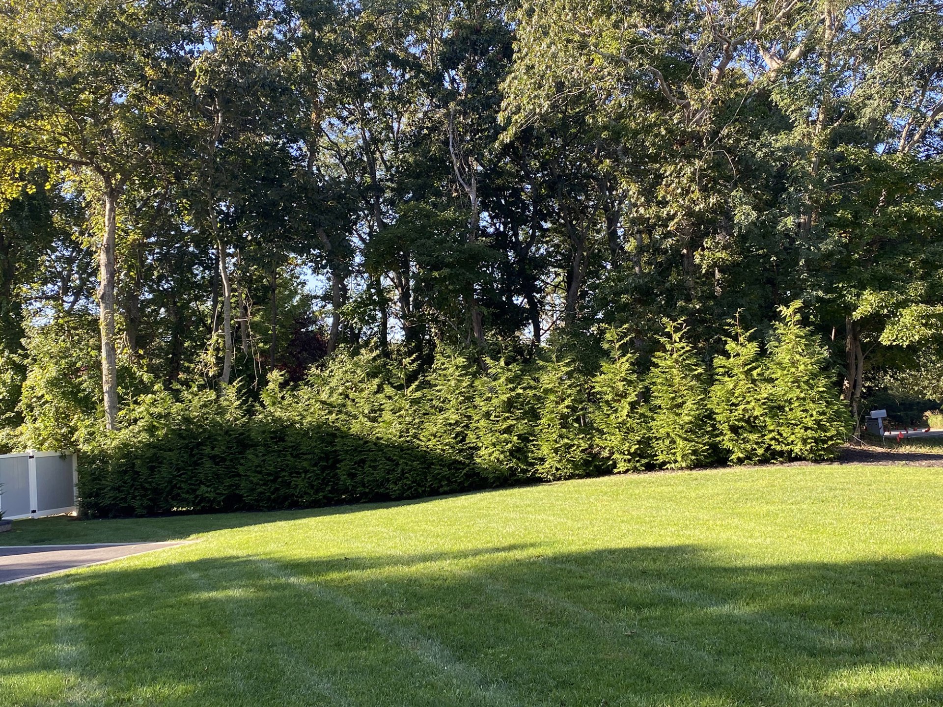 Service Gallery Treetola's Arbor Care