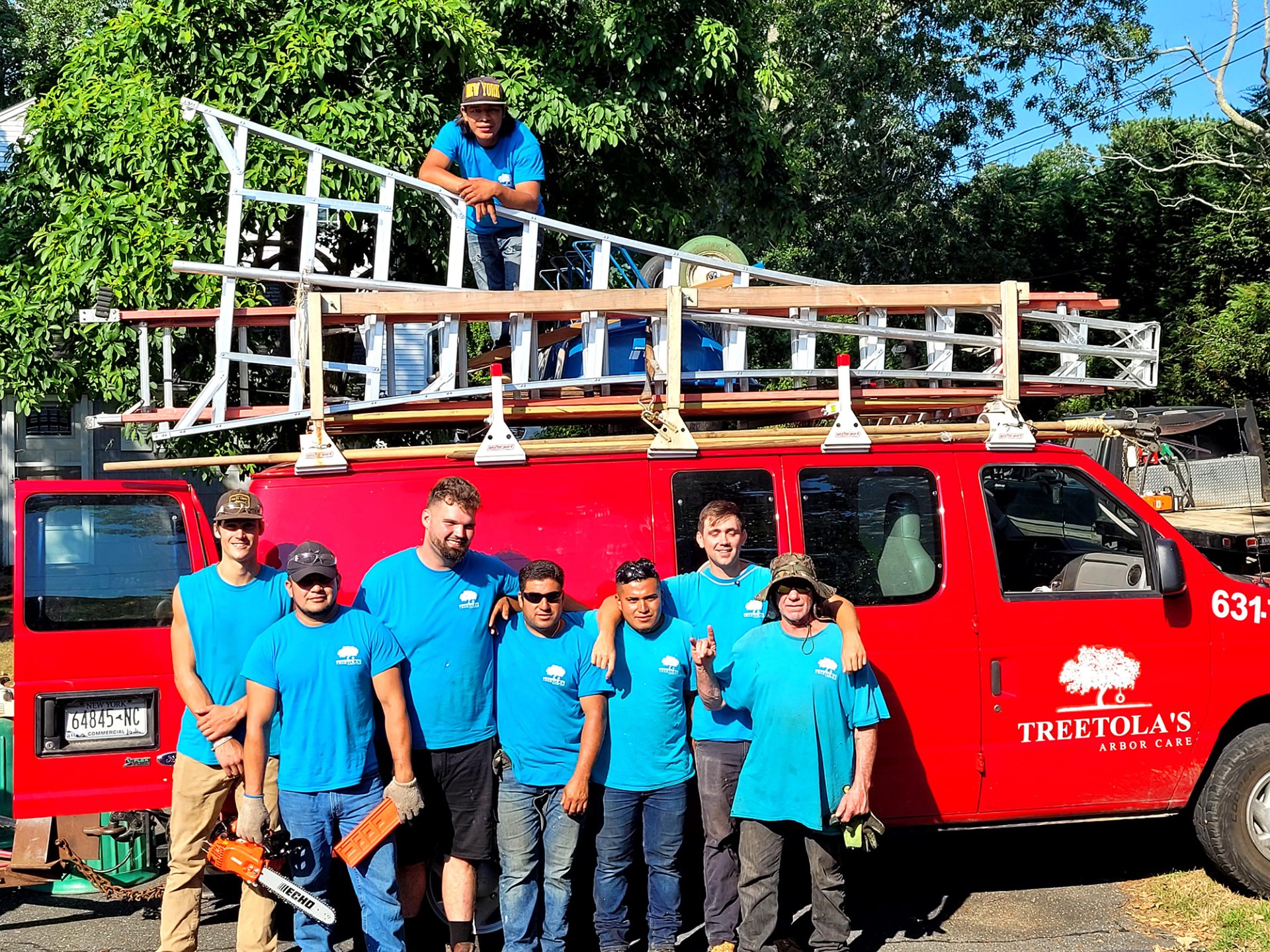 Service Gallery Treetola's Arbor Care