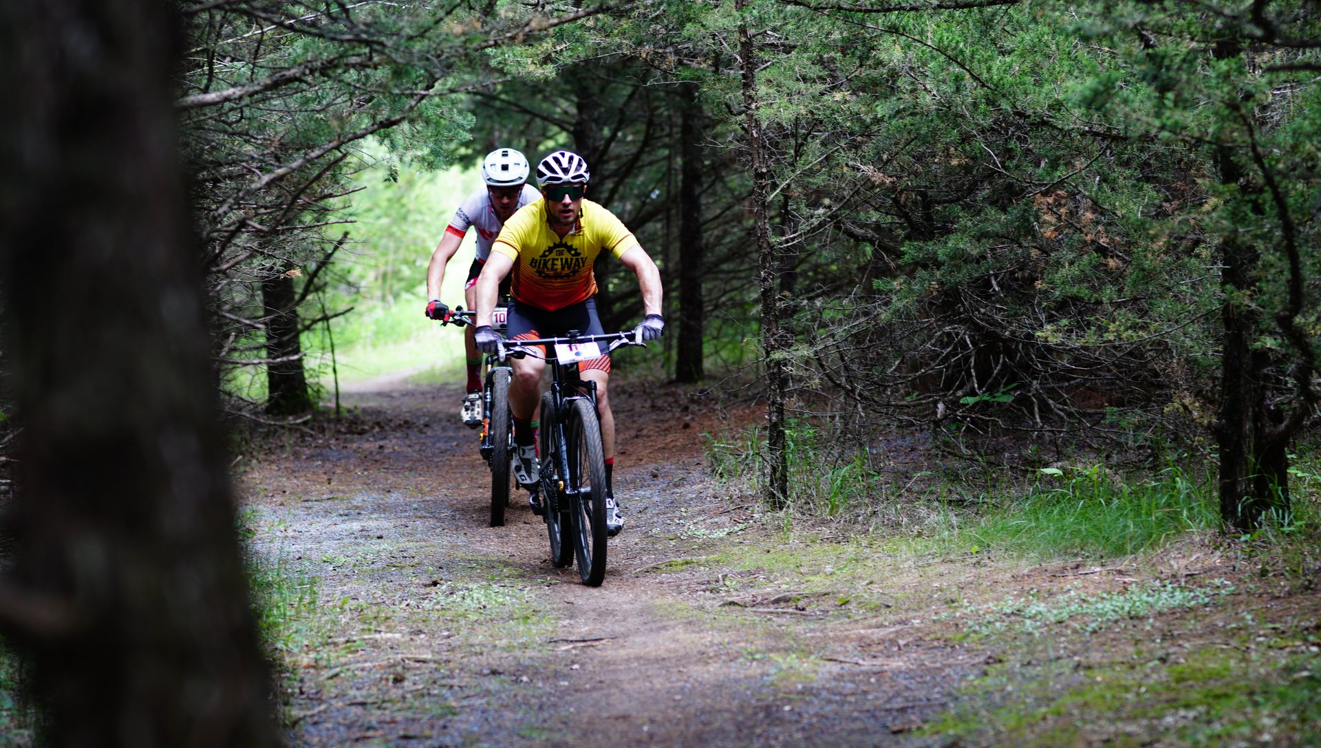 The Bike Way