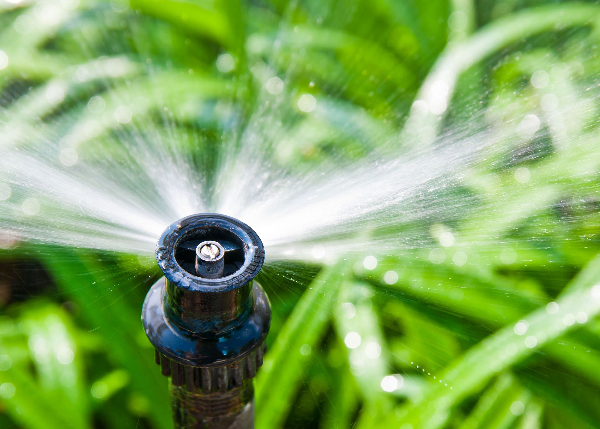 Lawn Sprinkler Service Livonia, MI Farmington, MI
