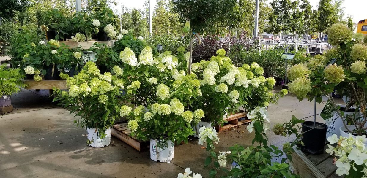 Project Gallery | S & S Landscaping