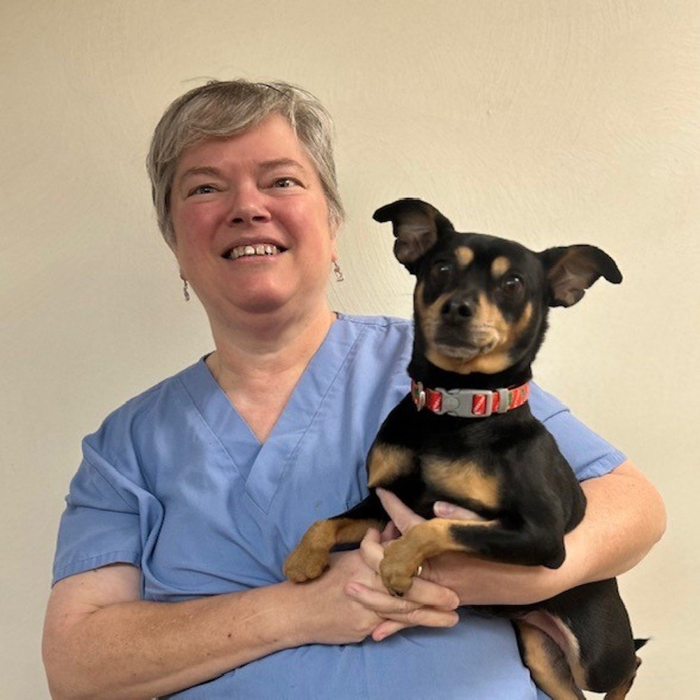 Meet The Doctors Latrobe Animal Clinic