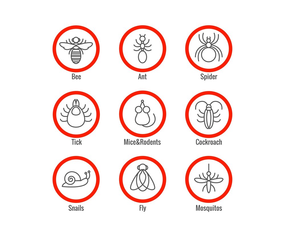 Griffin Termite & Pest Control Exterminators Griffin GA