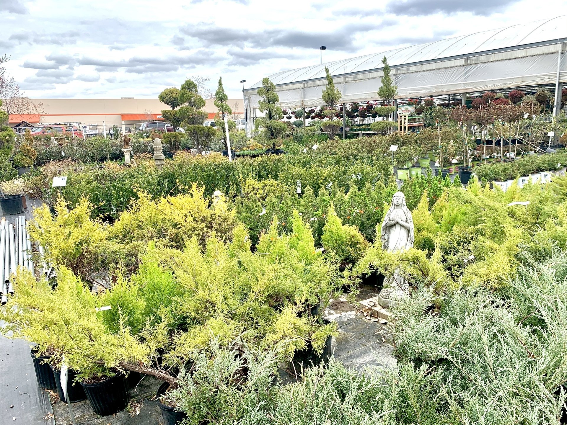 Plant Nursery Trees Madison, AL