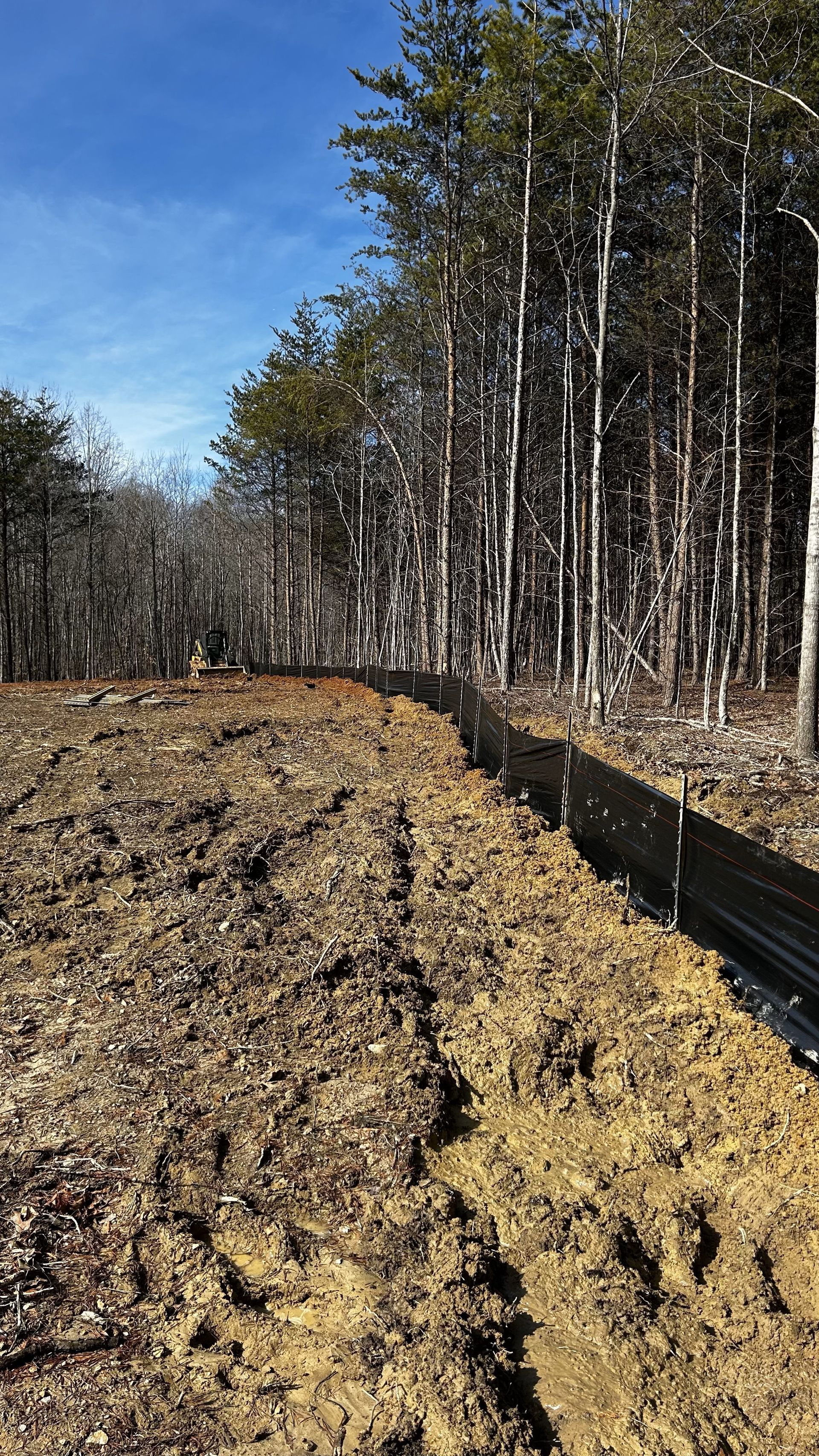 A muddy field surrounded by trees on a sunny day.