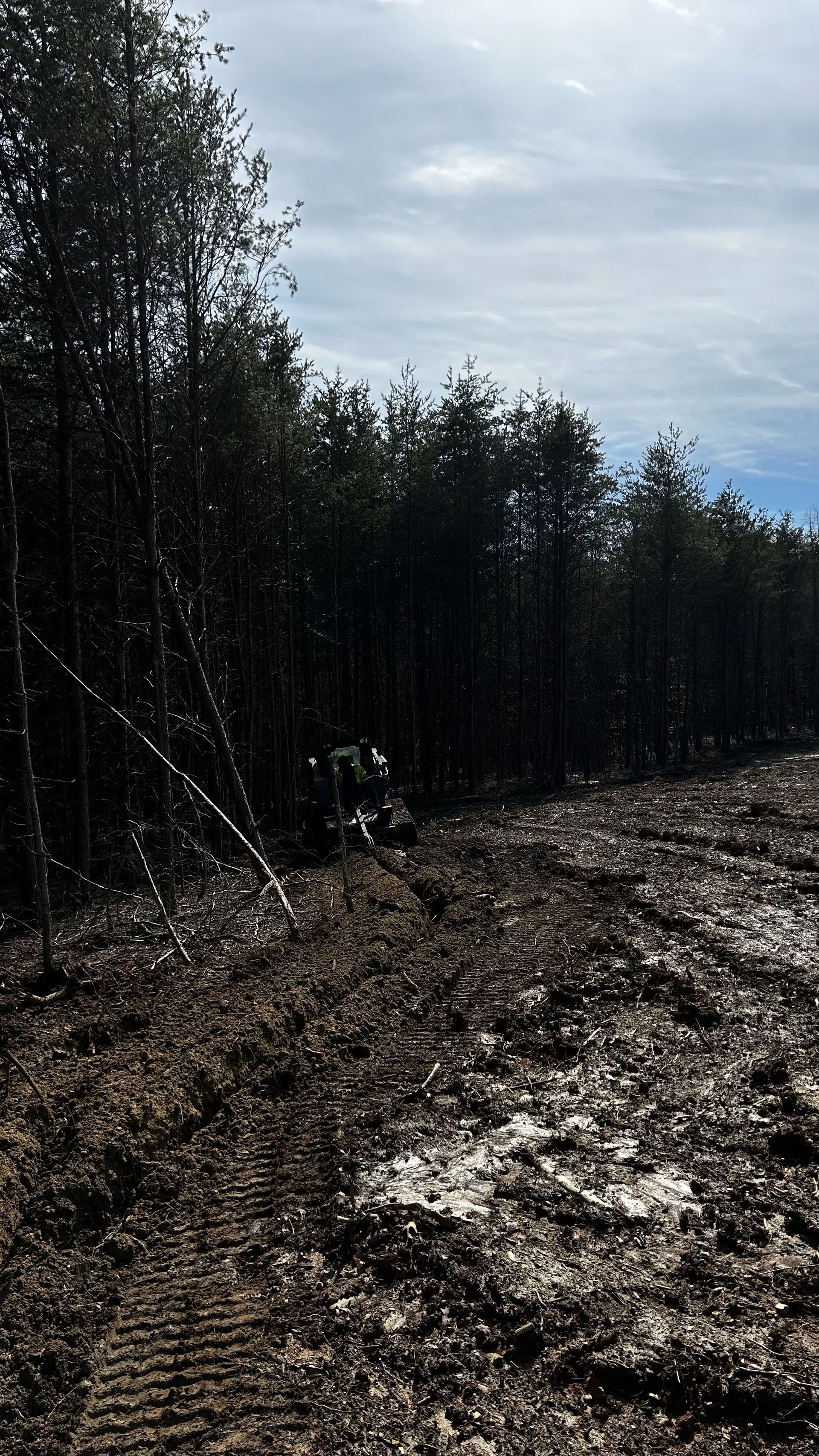 A muddy field with trees in the background on a cloudy day