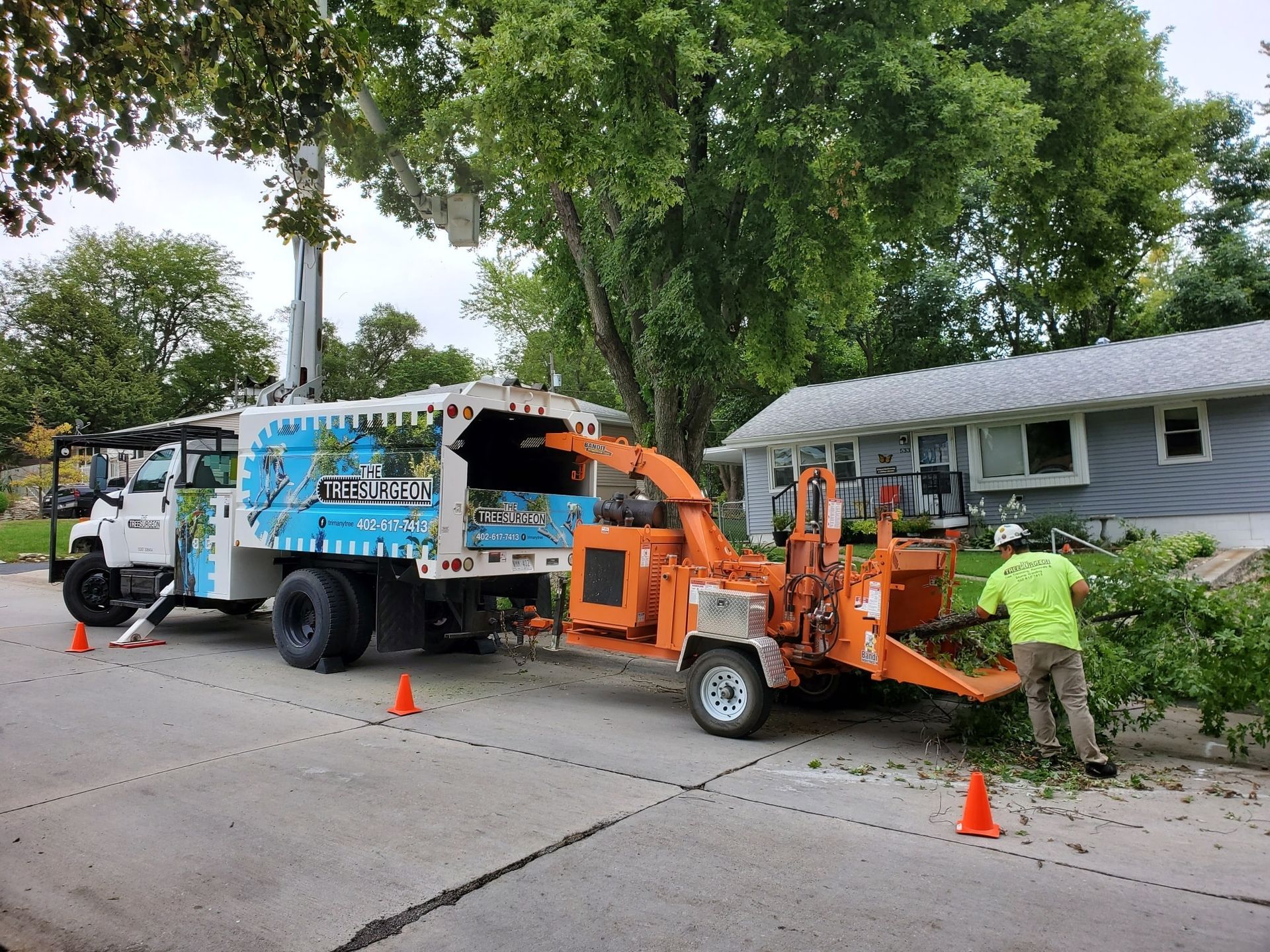 Finest Tree Maintenance in Boise, Idaho: Leading Providers Evaluated thumbnail