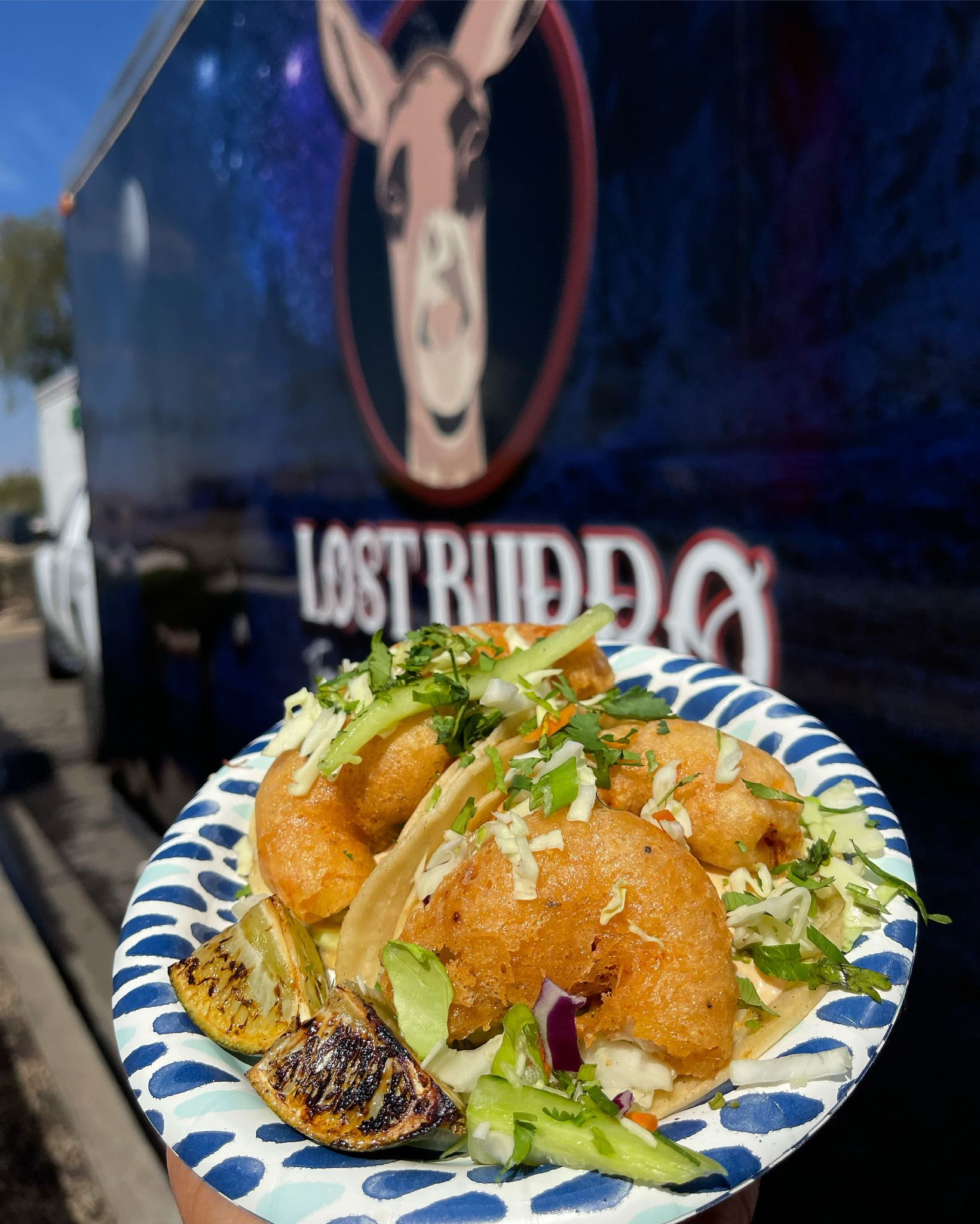 Gallery | Lost Burro Tacos and Stuff