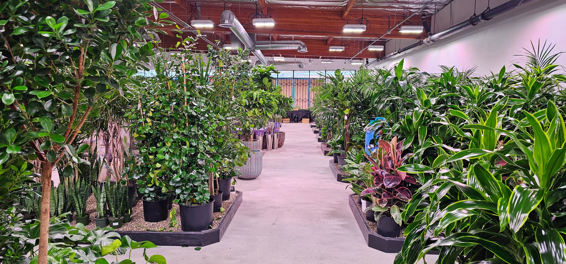 Garden Center Torance, CA | Palos Verdes Peninsula, CA