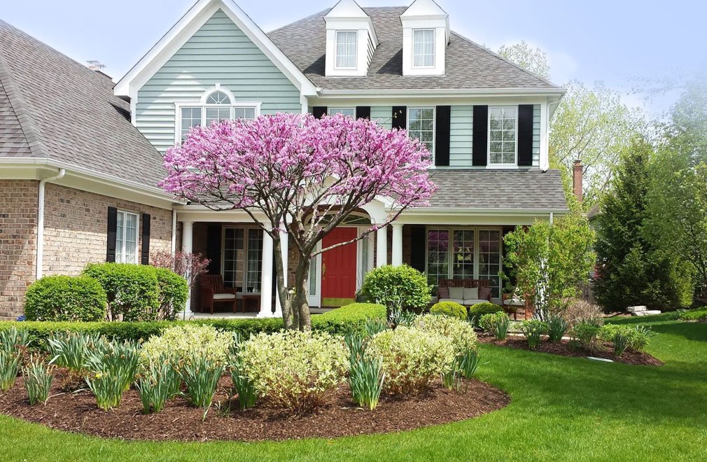 Landscaper Landscaping Hoy Landscaping Oak Park and River Forest IL