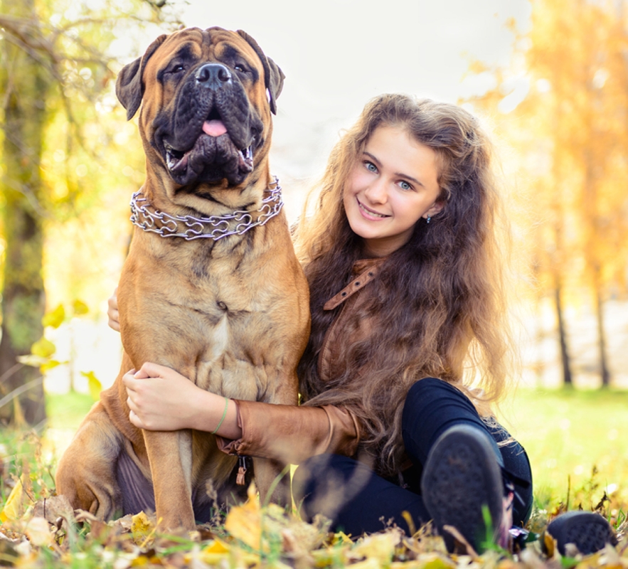 Locust Run Kennels Pet boarding and grooming York, PA