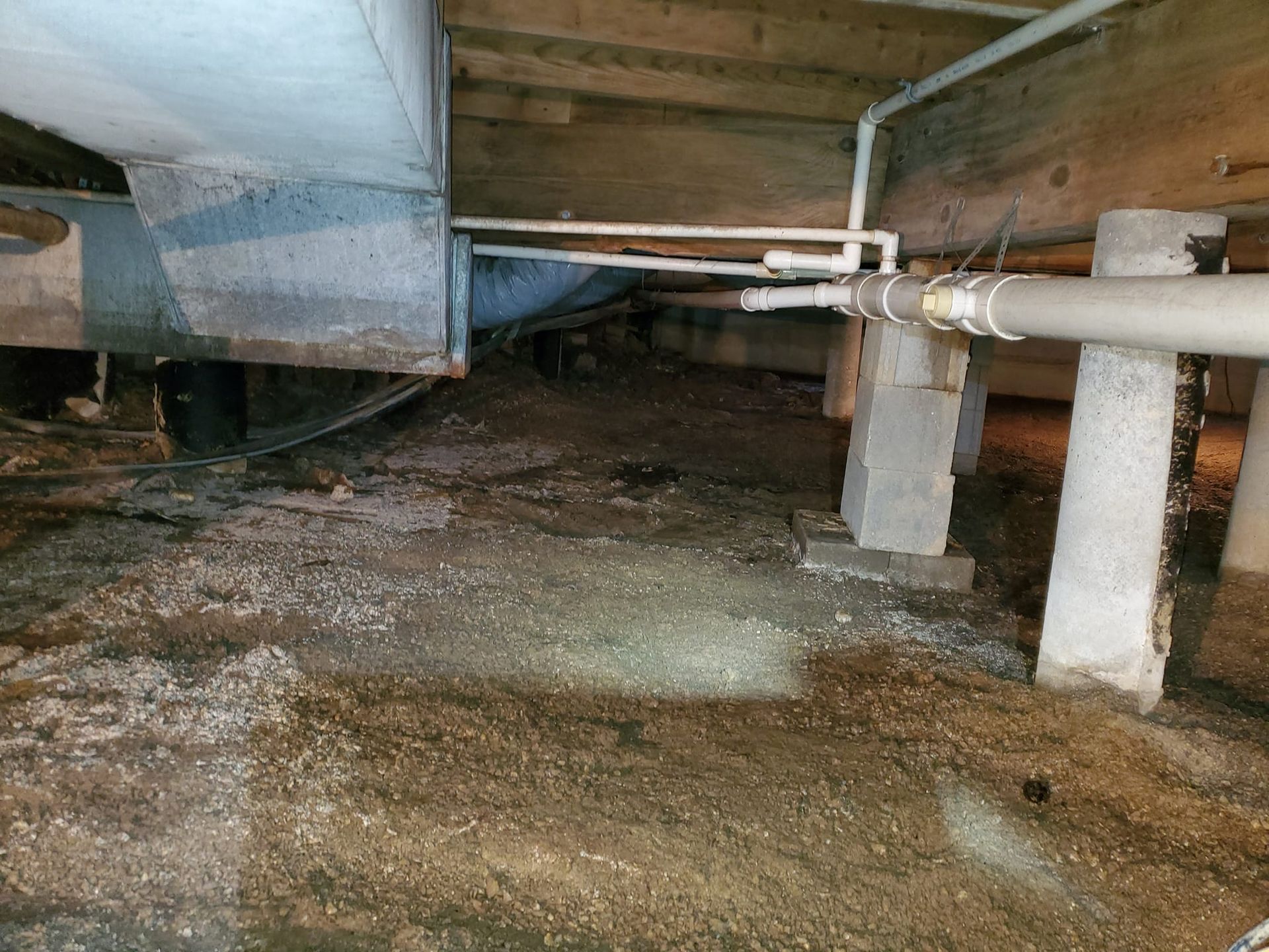 Professional Mold Remediation, Removal, and Mitigation ... - SERVPRO