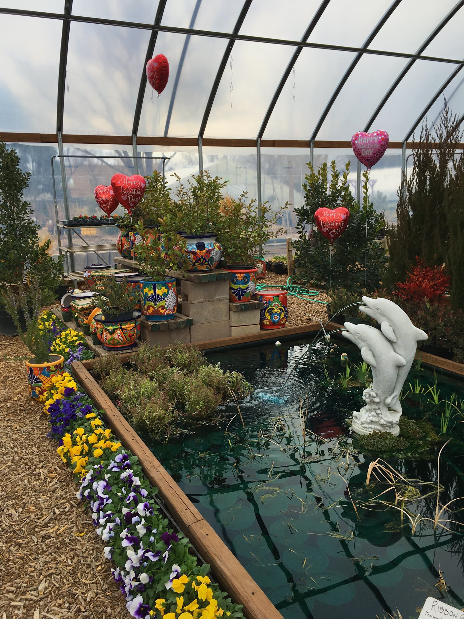 Albuquerque Water Gardens & Nursery Plants Albuquerque, NM