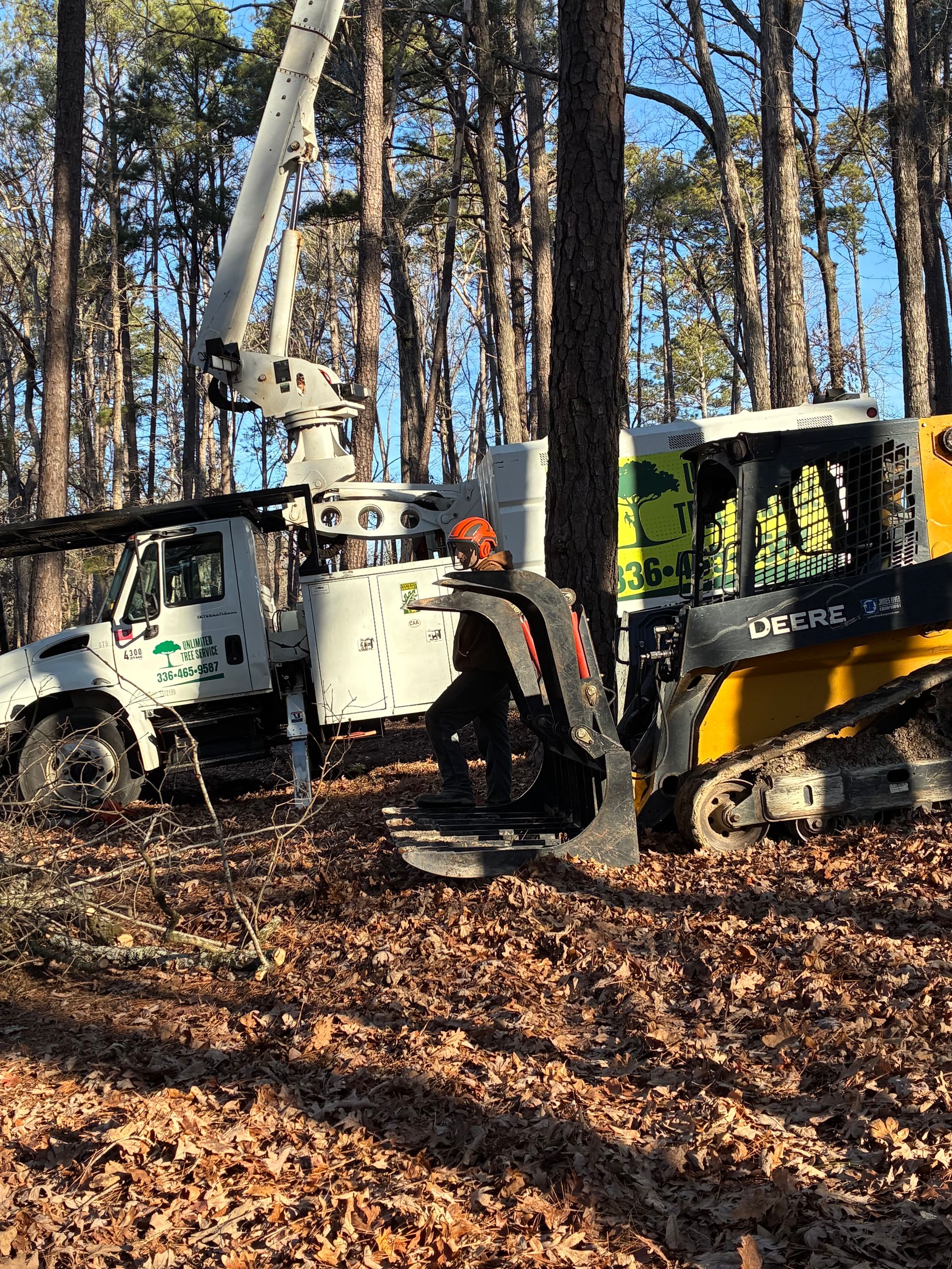 Great Description About Unlimited Tree Service