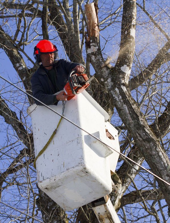 A1 Crane Service Tree Service Redding, CA