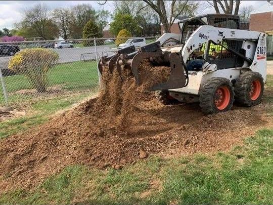 Lehigh Valley Tree Service | Tree Removal | Allentown, PA