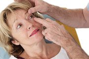 Lush Eye Contact By Kathy Background in 4K Lush Eye Contact By Kathy Background in 4K