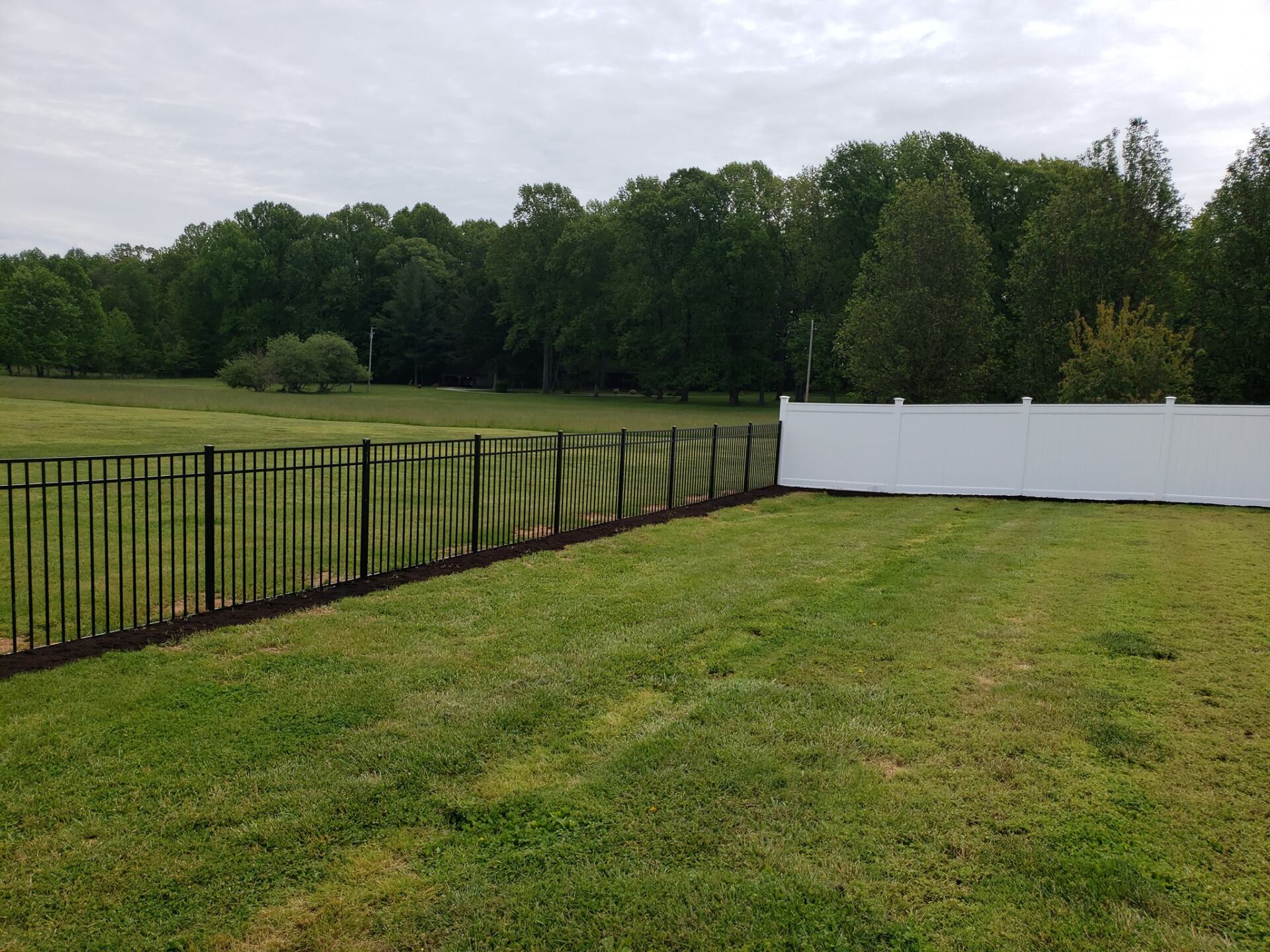 InGround Swimming Pools Installation Bowling Green, KY Miramar