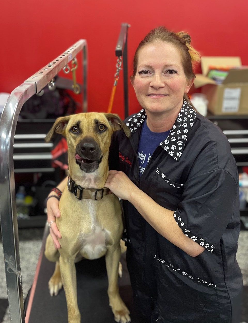 Dog Groomers Dog Grooming Course Greenwood, IN