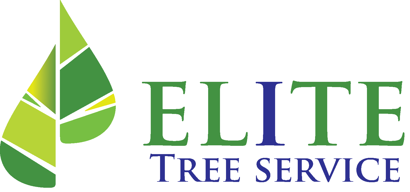 Tree Care Cape Coral, FL Elite Tree Service LLC
