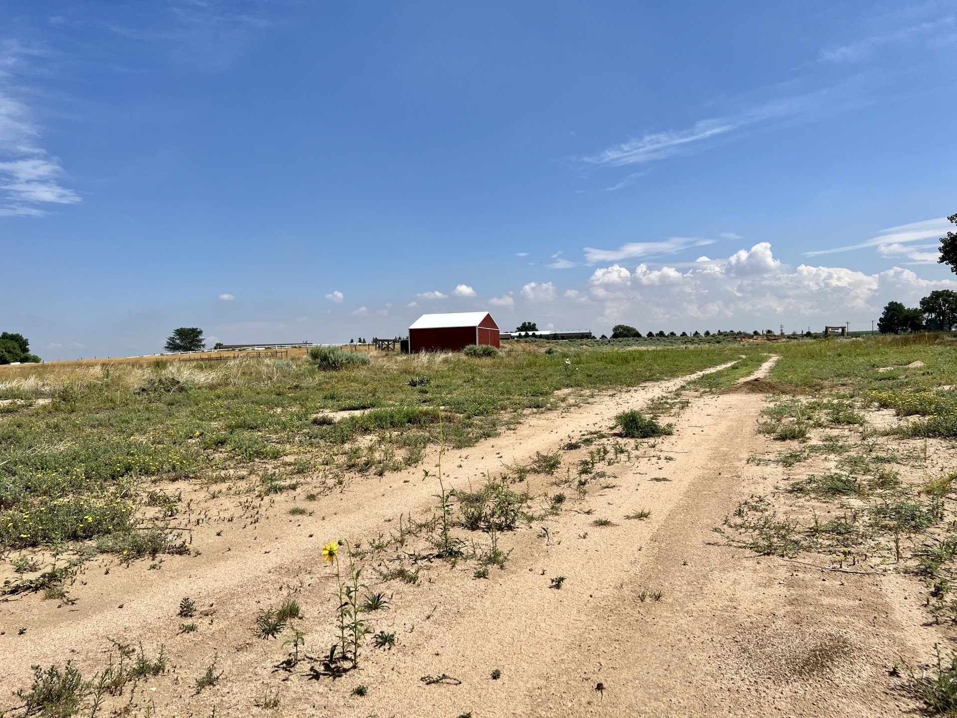 Lasalle Farm Listings Greeley, CO