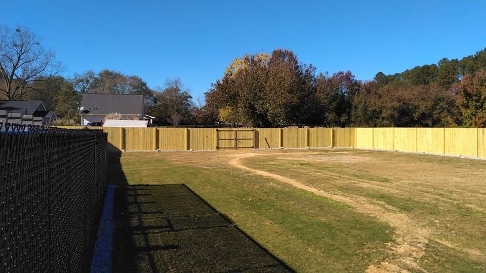 Backyard with a wooden privacy fence, green lawn, and trees under a clear blue sky