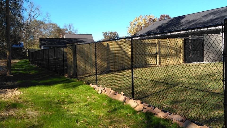 Backyard with black chain-link fence, green grass, and a sunlit house in the background