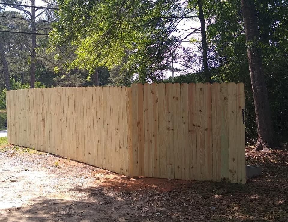 Tall wooden privacy fence along a wooded roadside, lit by sunlight and shadows.