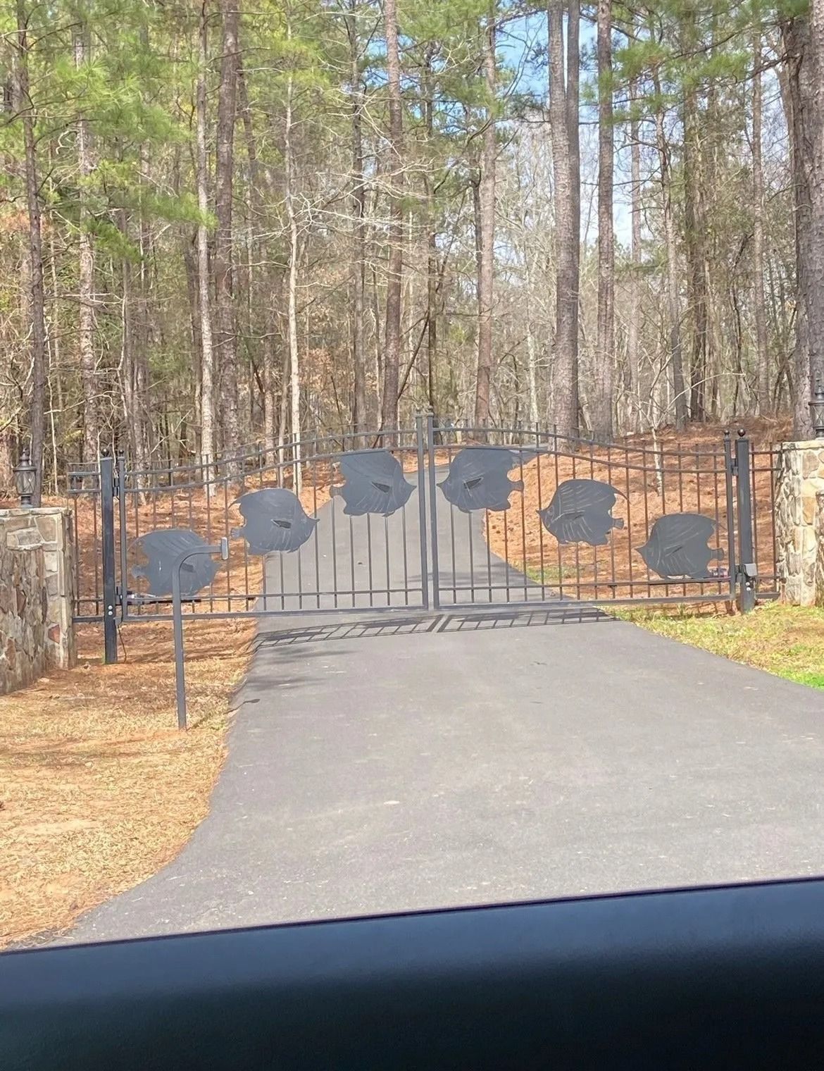 Black metal gate with circular accents blocks a driveway in a wooded area