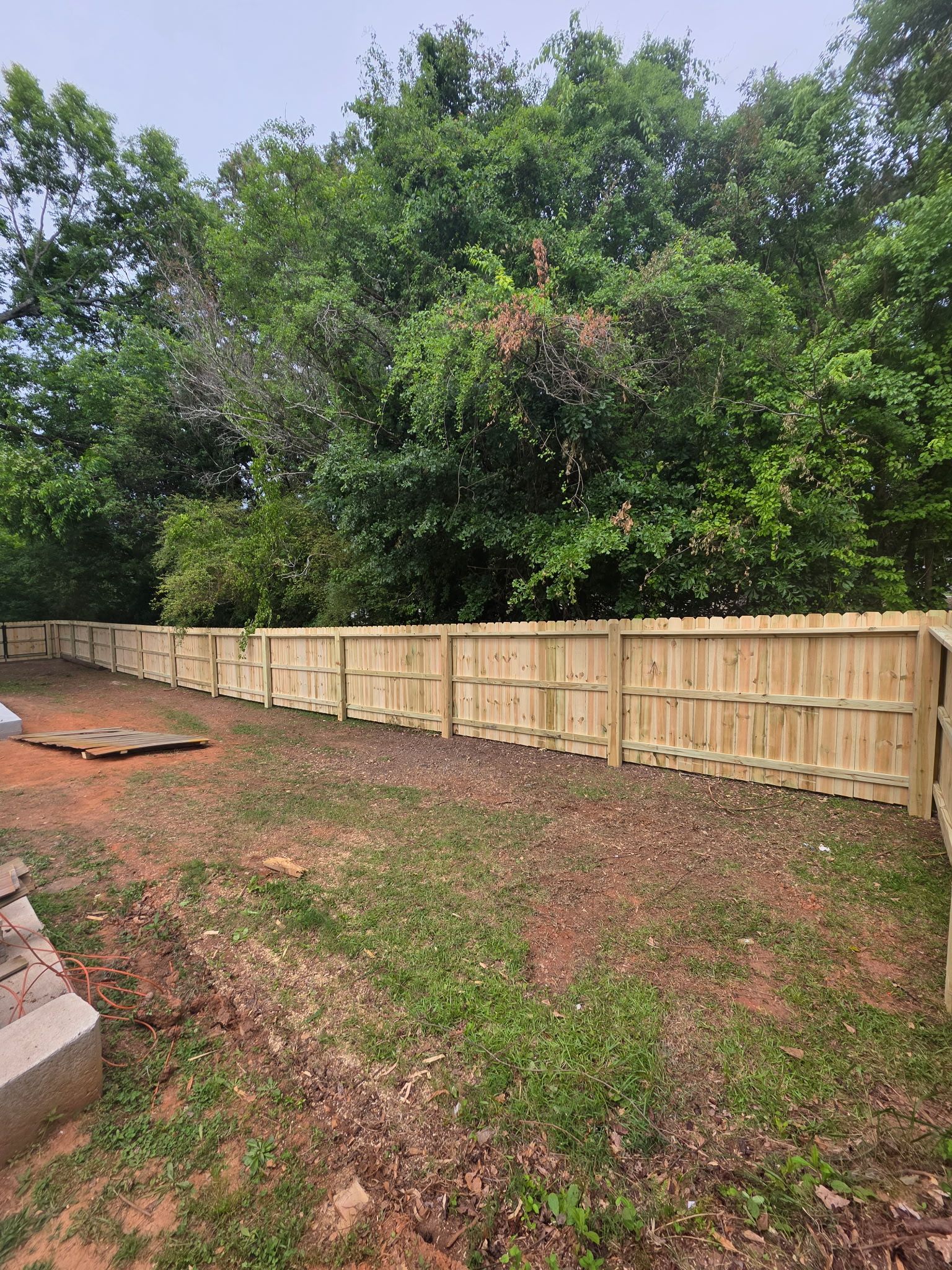 Wooden fence along a leafy backyard with trees and a dirt-covered ground.
