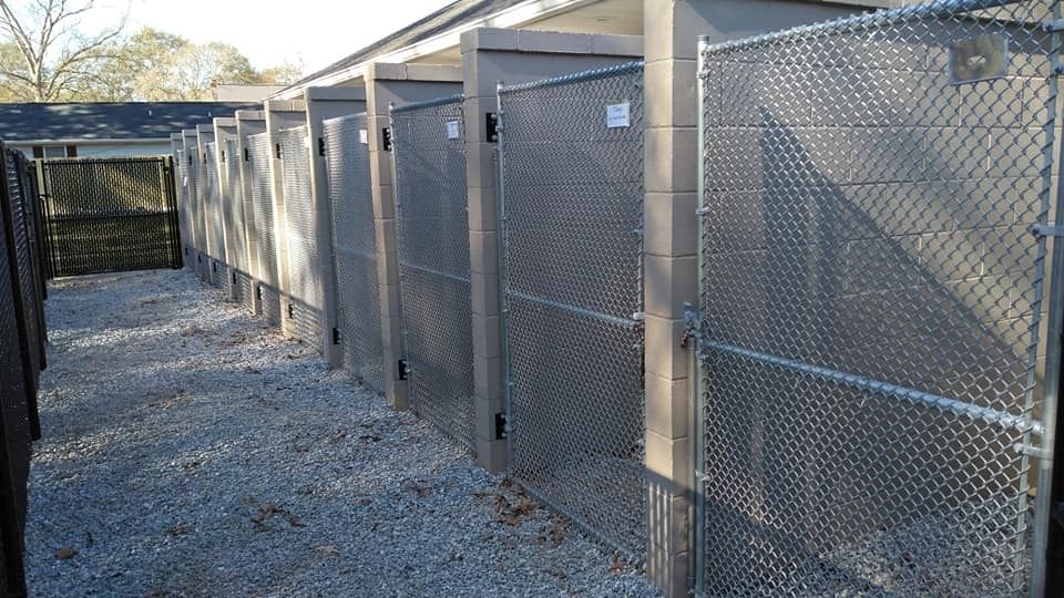 Row of chain-link dog kennels with gravel floor and closed metal gates outdoors