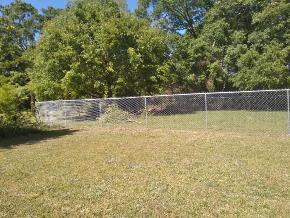 Grassy backyard with a chain-link fence and tall green trees under a clear blue sky