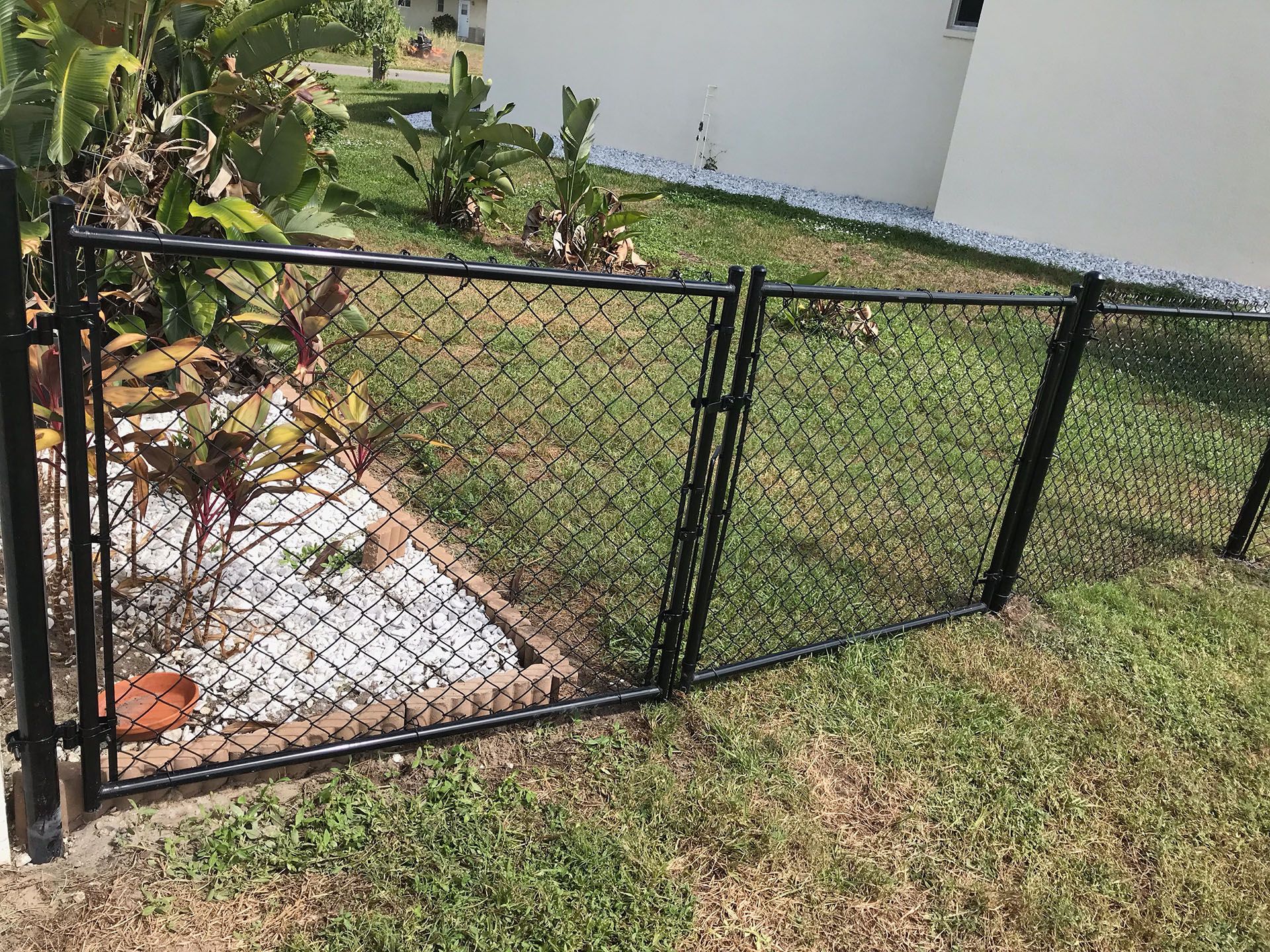 Black chain-link fence with gate in front yard. Green grass and plants present. Light-colored house in the background.