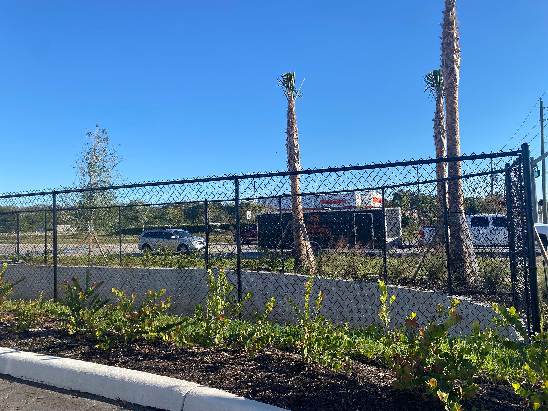 Black chain-link fence with palm trees, a food truck, and vehicles on a sunny day.
