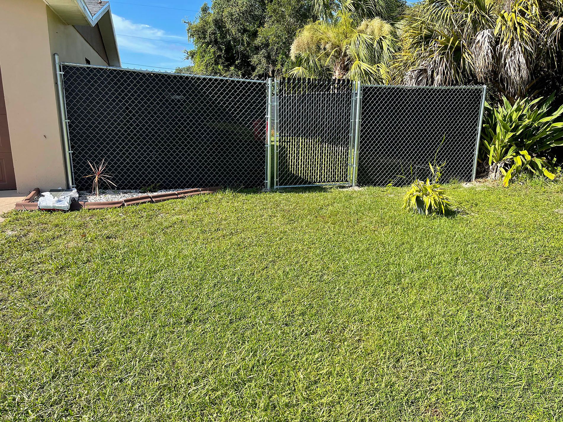 Black privacy fence with a gate, in a green yard with plants and a house.