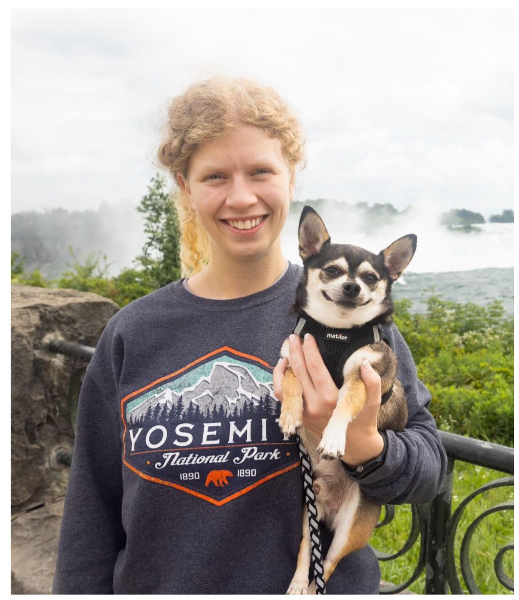 >Meet our Team At Hayfield Animal Hospital Veterinary Doctor