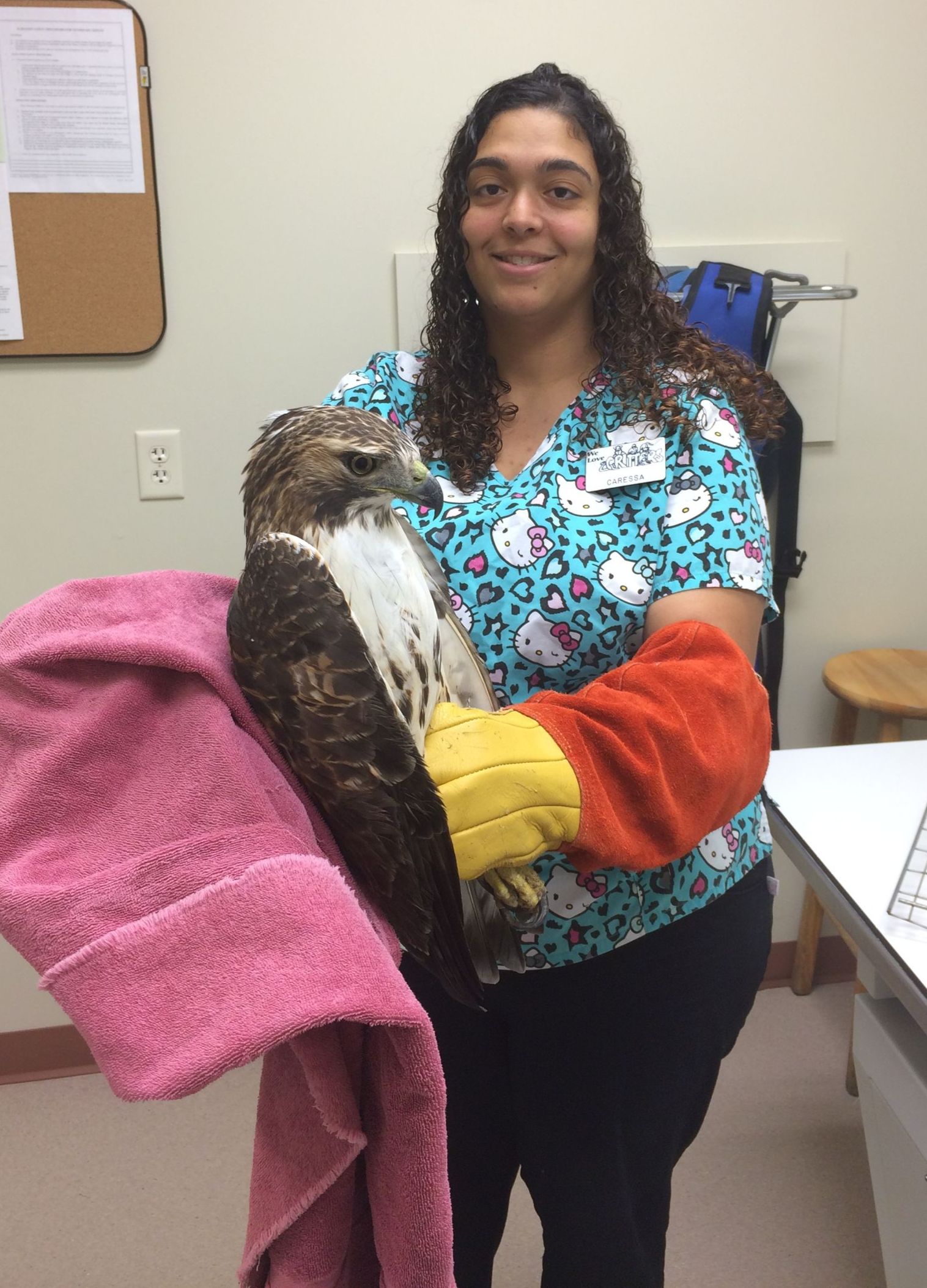 >Meet our Team At Hayfield Animal Hospital Veterinary Doctor