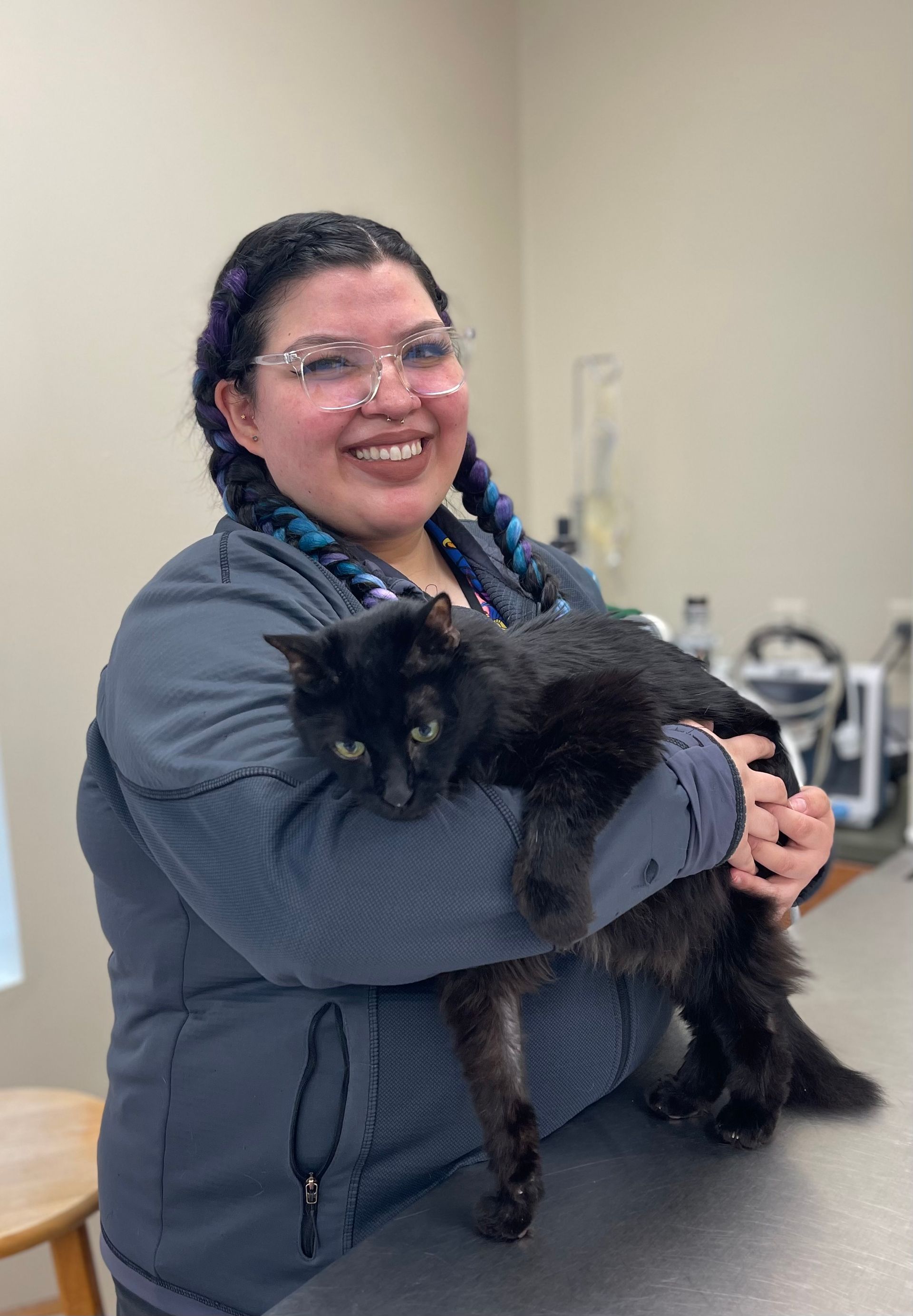 >Meet our Team At Hayfield Animal Hospital Veterinary Doctor