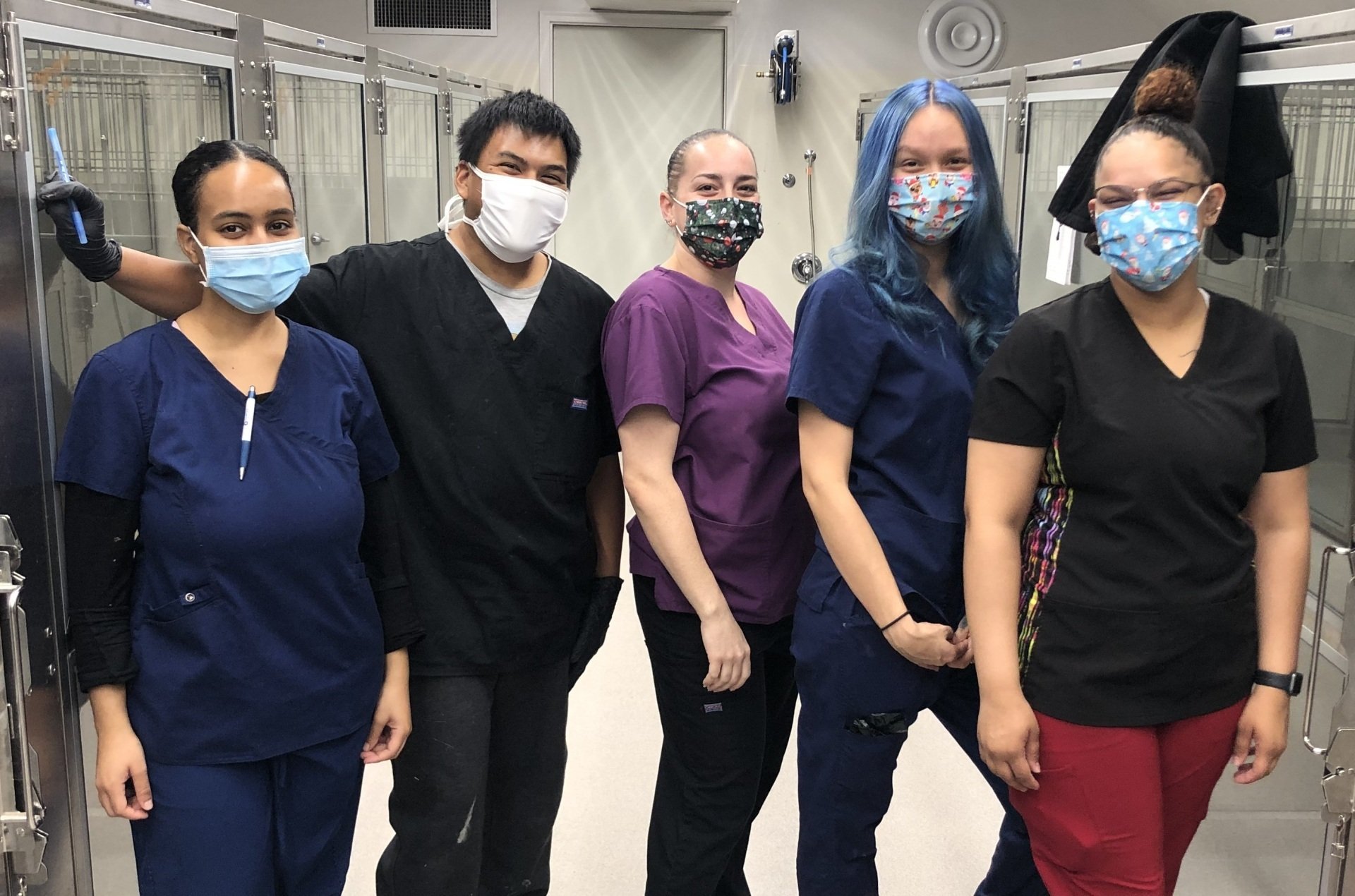 Pet Boarding Alexandria VA Hayfield Animal Hospital