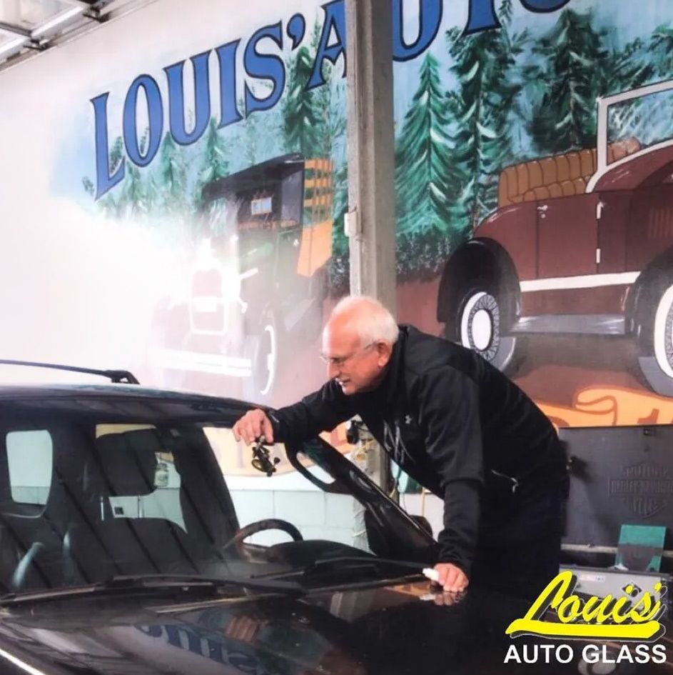 Rock Chip Repairs Bellingham WA Windshields Lynden, Mount Vernon