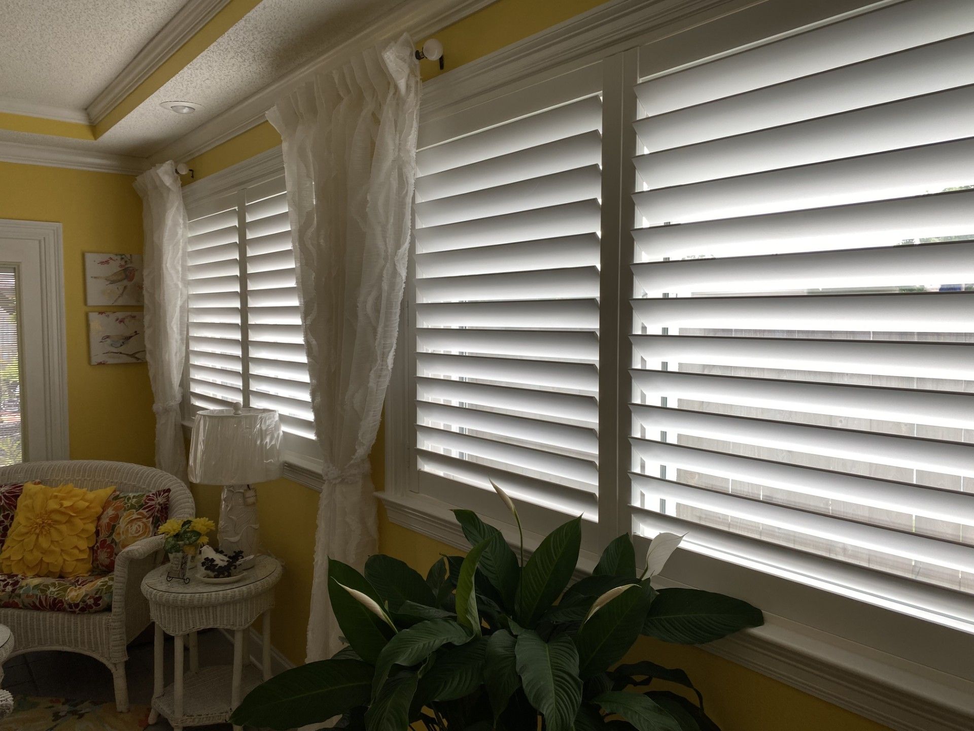 Sunlit living room with white blinds, yellow walls, floral chair, and large green plant