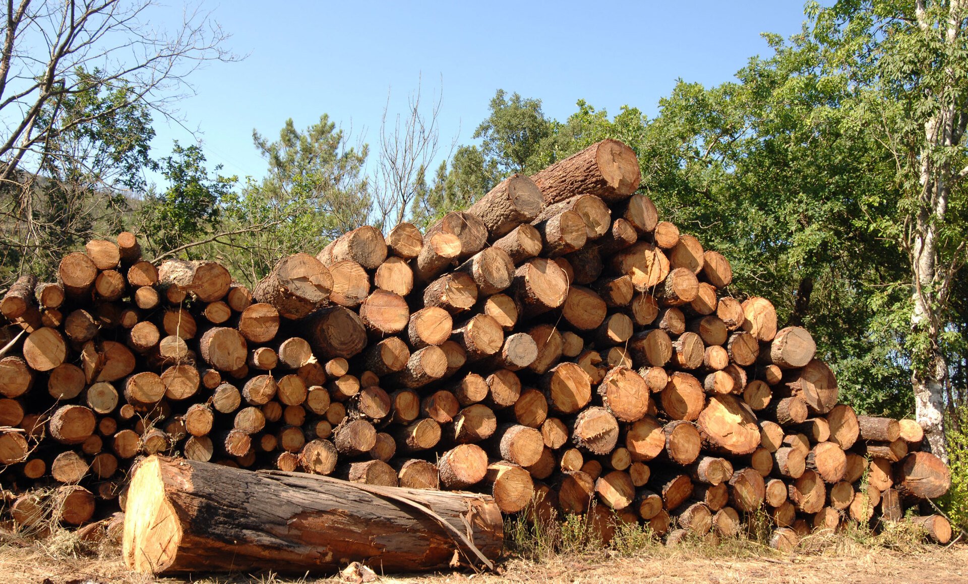 Bulk Mulch Sales & Delivery Waterloo Mulch and Soil Serving Omaha, and surrounding areas