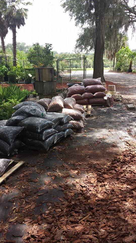 Blooming House Nursery Photo Gallery Newberry, FL